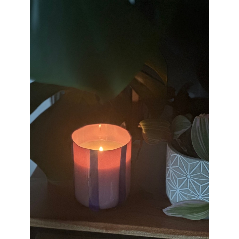 Black Currant & Oudh Φυτικό Κερί 280gr, Atina - Maegen