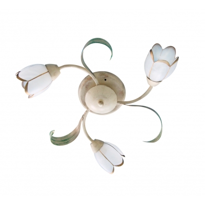 MX10500E-3 CAREN Δ4 MX10500E-3 CAREN Δ4