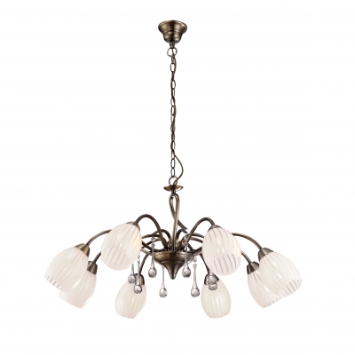 H9534/8 PERO 1E1 H9534/8 PERO 1E1