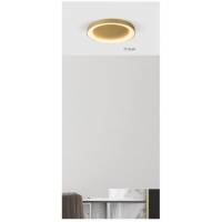 SE LED 60 AMAYA CEILING BRUSHED GOLD Δ3