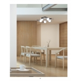 KQ 2626/5 SHEVY CEILING LAMP Δ3