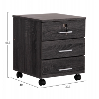 ΣΥΡΤΑΡΙΕΡΑ ΓΡΑΦΕΙΟΥ HAYDEN HM2282.01 ΣΕ ΑΝΘΡΑΚΙ ΧΡΩΜΑ 39.5x40x46.5Υεκ ΣΥΡΤΑΡΙΕΡΑ ΓΡΑΦΕΙΟΥ HAYDEN HM2282.01 ΣΕ ΑΝΘΡΑΚΙ ΧΡΩΜΑ 39.5x40x46.5Υεκ