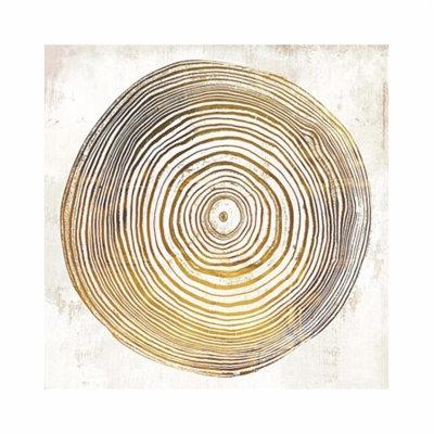 ΠΙΝΑΚΑΣ ΚΑΜΒΑΣ DOME OF CHAPEL OF MONTESIEPI HM7199.03 45x3x45 εκ. ΠΙΝΑΚΑΣ ΚΑΜΒΑΣ DOME OF CHAPEL OF MONTESIEPI HM7199.03 45x3x45 εκ.