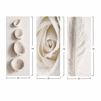 ΠΙΝΑΚΑΣ ΤΡΙΠΤΥΧΟ MDF NATURAL ELEMENTS HM7204.05 60X0,3X50 εκ. ΠΙΝΑΚΑΣ ΤΡΙΠΤΥΧΟ MDF NATURAL ELEMENTS HM7204.05 60X0,3X50 εκ.