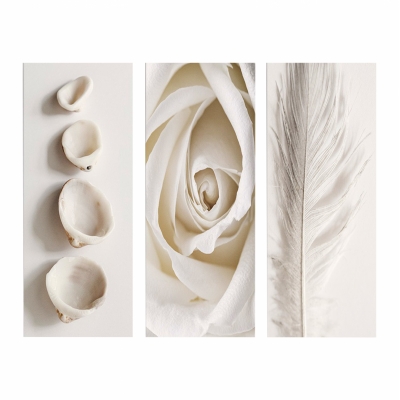 ΠΙΝΑΚΑΣ ΤΡΙΠΤΥΧΟ MDF NATURAL ELEMENTS HM7204.05 60X0,3X50 εκ. ΠΙΝΑΚΑΣ ΤΡΙΠΤΥΧΟ MDF NATURAL ELEMENTS HM7204.05 60X0,3X50 εκ.