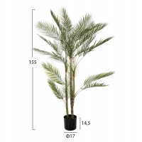 ΔΙΑΚΟΣΜΗΤΙΚΟ ΣΥΝΘΕΤΙΚΟ ΦΥΤΟ HM7970 KWAI TREE ΣΕ ΓΛΑΣΤΡΑ Φ17x14,5-155Υεκ. ΔΙΑΚΟΣΜΗΤΙΚΟ ΣΥΝΘΕΤΙΚΟ ΦΥΤΟ HM7970 KWAI TREE ΣΕ ΓΛΑΣΤΡΑ Φ17x14,5-155Υεκ.