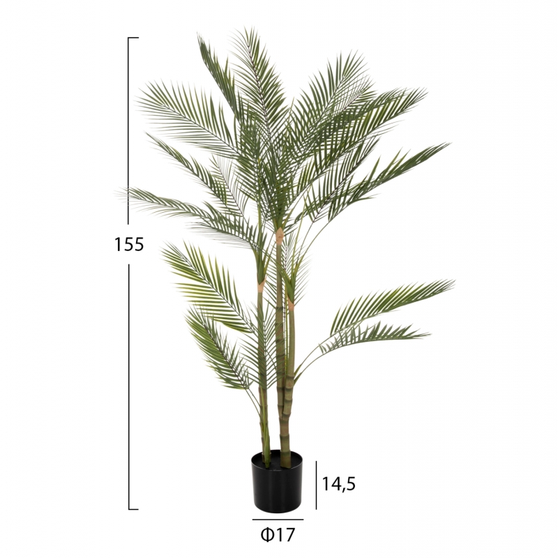 ΔΙΑΚΟΣΜΗΤΙΚΟ ΣΥΝΘΕΤΙΚΟ ΦΥΤΟ HM7970 KWAI TREE ΣΕ ΓΛΑΣΤΡΑ Φ17x14,5-155Υεκ. ΔΙΑΚΟΣΜΗΤΙΚΟ ΣΥΝΘΕΤΙΚΟ ΦΥΤΟ HM7970 KWAI TREE ΣΕ ΓΛΑΣΤΡΑ Φ17x14,5-155Υεκ.