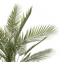 ΔΙΑΚΟΣΜΗΤΙΚΟ ΣΥΝΘΕΤΙΚΟ ΦΥΤΟ HM7970 KWAI TREE ΣΕ ΓΛΑΣΤΡΑ Φ17x14,5-155Υεκ. ΔΙΑΚΟΣΜΗΤΙΚΟ ΣΥΝΘΕΤΙΚΟ ΦΥΤΟ HM7970 KWAI TREE ΣΕ ΓΛΑΣΤΡΑ Φ17x14,5-155Υεκ.
