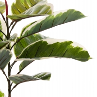 ΔΙΑΚΟΣΜΗΤΙΚΟ ΣΥΝΘΕΤΙΚΟ ΦΥΤΟ HM7972 OAK LEAF ΣΕ ΓΛΑΣΤΡΑ 85Υεκ.