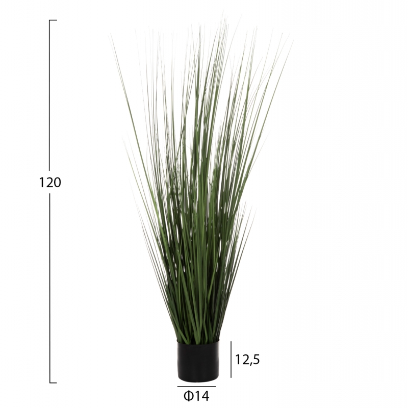 ΔΙΑΚΟΣΜΗΤΙΚΟ ΣΥΝΘΕΤΙΚΟ ΦΥΤΟ HM4012 GRASS ΣΕ ΓΛΑΣΤΡΑ 120Υεκ. ΔΙΑΚΟΣΜΗΤΙΚΟ ΣΥΝΘΕΤΙΚΟ ΦΥΤΟ HM4012 GRASS ΣΕ ΓΛΑΣΤΡΑ 120Υεκ.