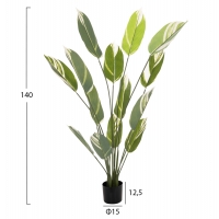 ΔΙΑΚΟΣΜΗΤΙΚΟ ΣΥΝΘΕΤΙΚΟ ΦΥΤΟ HM7997 CALATHEA ΣΕ ΓΛΑΣΤΡΑ 140Υεκ. ΔΙΑΚΟΣΜΗΤΙΚΟ ΣΥΝΘΕΤΙΚΟ ΦΥΤΟ HM7997 CALATHEA ΣΕ ΓΛΑΣΤΡΑ 140Υεκ.