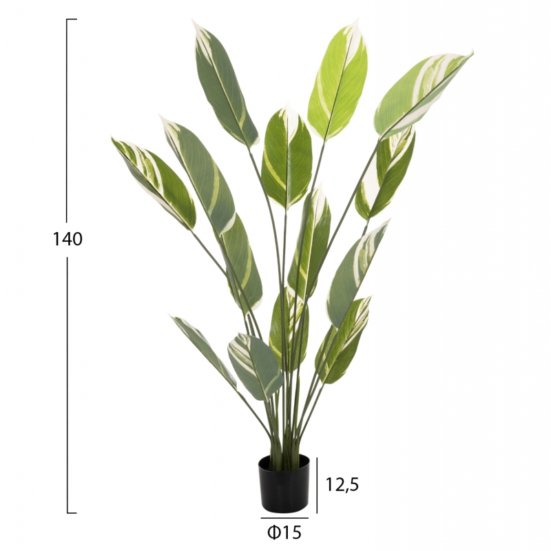 ΔΙΑΚΟΣΜΗΤΙΚΟ ΣΥΝΘΕΤΙΚΟ ΦΥΤΟ HM7997 CALATHEA ΣΕ ΓΛΑΣΤΡΑ 140Υεκ. ΔΙΑΚΟΣΜΗΤΙΚΟ ΣΥΝΘΕΤΙΚΟ ΦΥΤΟ HM7997 CALATHEA ΣΕ ΓΛΑΣΤΡΑ 140Υεκ.