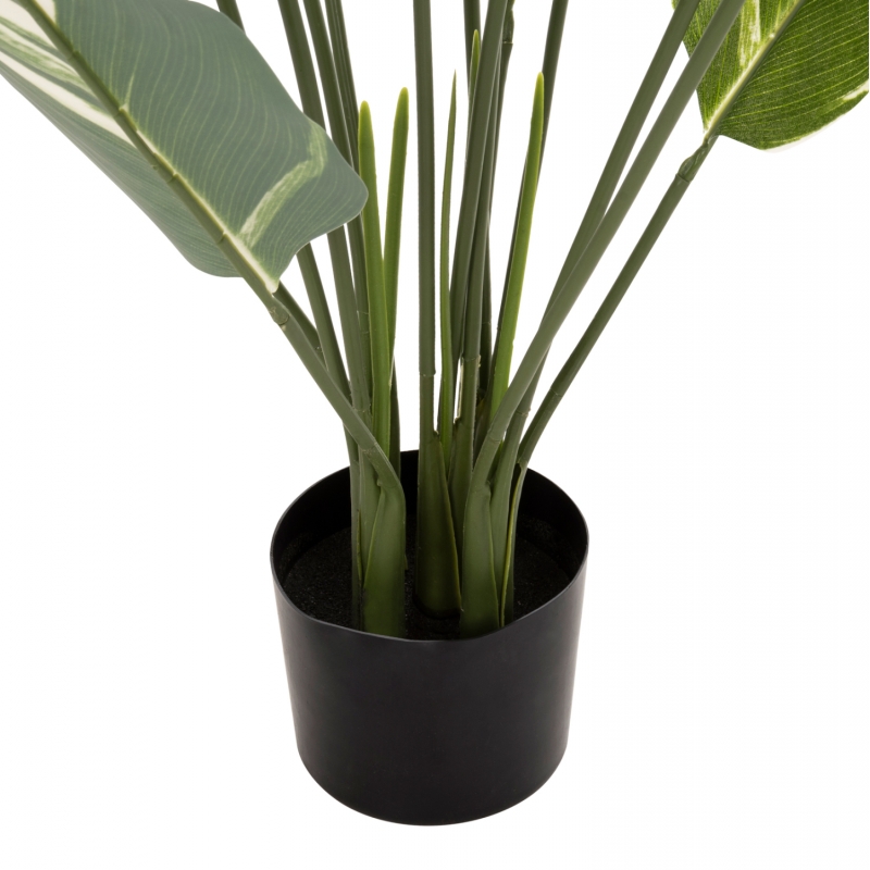 ΔΙΑΚΟΣΜΗΤΙΚΟ ΣΥΝΘΕΤΙΚΟ ΦΥΤΟ HM7997 CALATHEA ΣΕ ΓΛΑΣΤΡΑ 140Υεκ. ΔΙΑΚΟΣΜΗΤΙΚΟ ΣΥΝΘΕΤΙΚΟ ΦΥΤΟ HM7997 CALATHEA ΣΕ ΓΛΑΣΤΡΑ 140Υεκ.