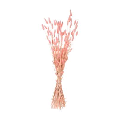 ΔΙΑΚΟΣΜΗΤΙΚΟ ΜΠΟΥΚΕΤΟ ΑΠΟΞΗΡΑΜΕΝΟ HM7960 RABBIT TAIL-PINK 75Υεκ.