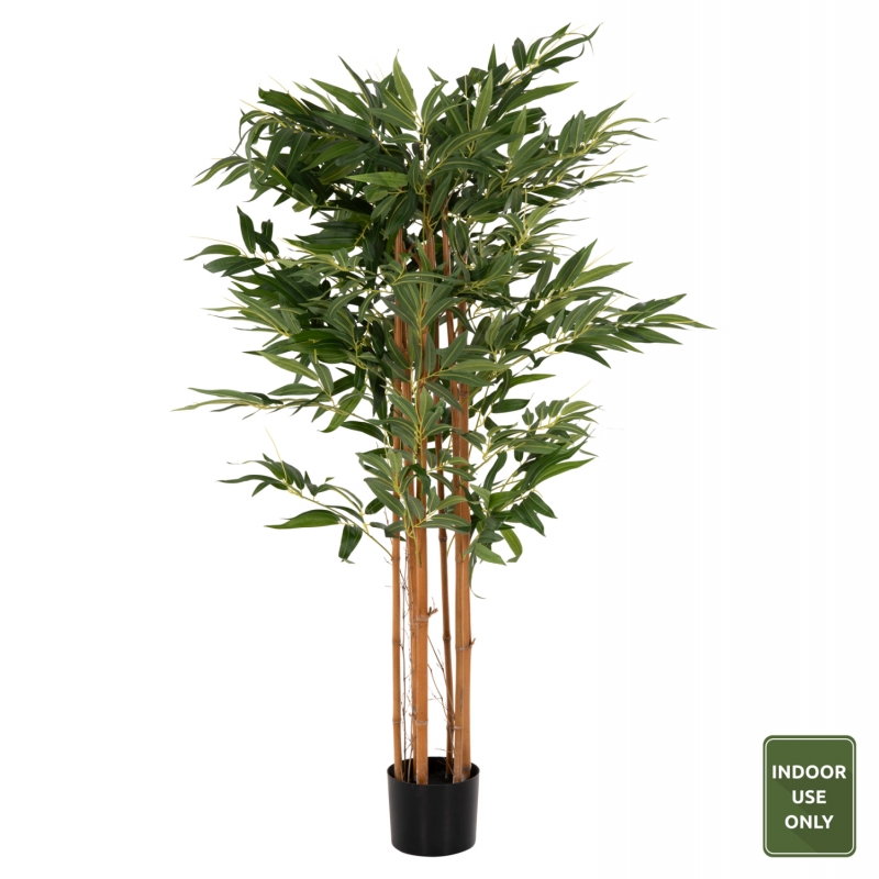 ΔΙΑΚΟΣΜΗΤΙΚΟ ΣΥΝΘΕΤΙΚΟ ΦΥΤΟ HM4003 BAMBOO ΣΕ ΓΛΑΣΤΡΑ 155Υεκ. ΔΙΑΚΟΣΜΗΤΙΚΟ ΣΥΝΘΕΤΙΚΟ ΦΥΤΟ HM4003 BAMBOO ΣΕ ΓΛΑΣΤΡΑ 155Υεκ.