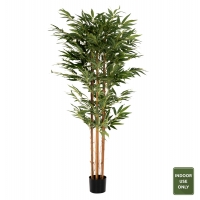 ΔΙΑΚΟΣΜΗΤΙΚΟ ΣΥΝΘΕΤΙΚΟ ΦΥΤΟ HM4004 BAMBOO ΣΕ ΓΛΑΣΤΡΑ 180Υεκ. ΔΙΑΚΟΣΜΗΤΙΚΟ ΣΥΝΘΕΤΙΚΟ ΦΥΤΟ HM4004 BAMBOO ΣΕ ΓΛΑΣΤΡΑ 180Υεκ.