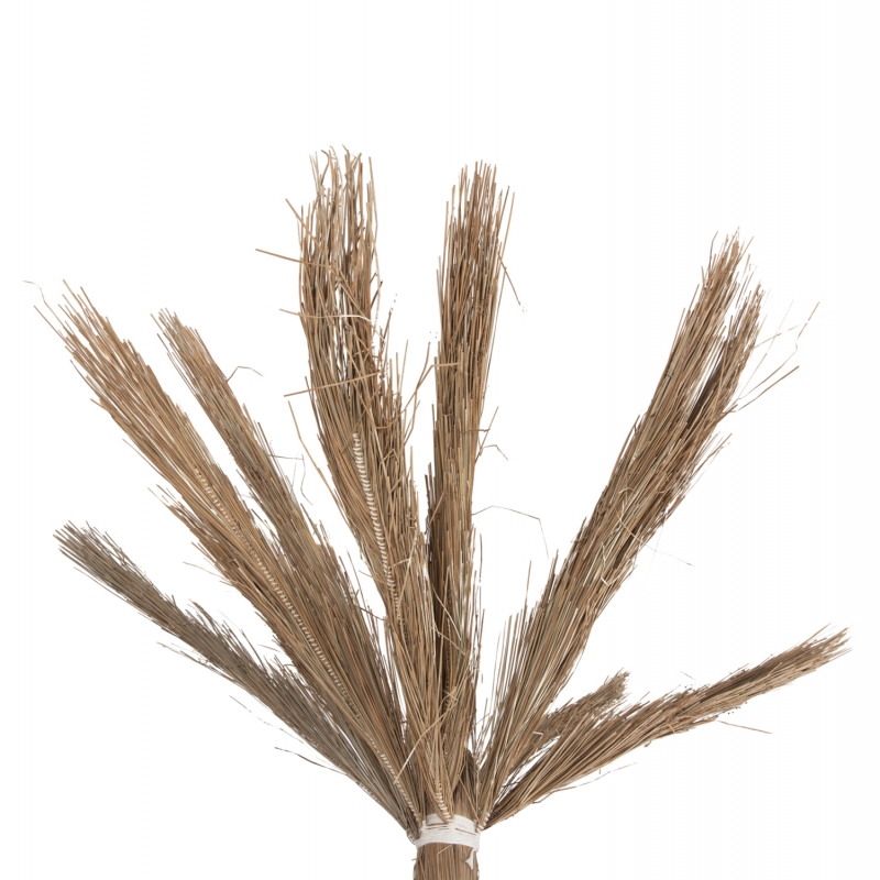 ΔΙΑΚΟΣΜΗΤΙΚΟ ΔΕΝΤΡΟ TROPIC HM4322 τ.ΦΟΙΝΙΚΑ ΑΠΟ MENDONG GRASS 360Yεκ.