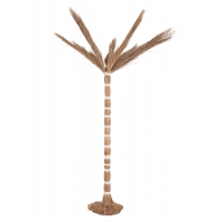 ΔΙΑΚΟΣΜΗΤΙΚΟ ΔΕΝΤΡΟ TROPIC HM4323 τ.ΦΟΙΝΙΚΑ ΑΠΟ MENDONG GRASS 310Yεκ. ΔΙΑΚΟΣΜΗΤΙΚΟ ΔΕΝΤΡΟ TROPIC HM4323 τ.ΦΟΙΝΙΚΑ ΑΠΟ MENDONG GRASS 310Yεκ.