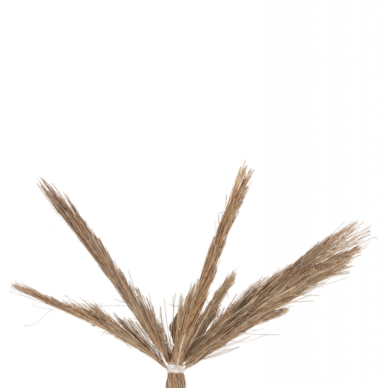 ΔΙΑΚΟΣΜΗΤΙΚΟ ΔΕΝΤΡΟ TROPIC HM4323 τ.ΦΟΙΝΙΚΑ ΑΠΟ MENDONG GRASS 310Yεκ. ΔΙΑΚΟΣΜΗΤΙΚΟ ΔΕΝΤΡΟ TROPIC HM4323 τ.ΦΟΙΝΙΚΑ ΑΠΟ MENDONG GRASS 310Yεκ.