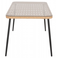 ΤΡΑΠΕΖΙ ΟΡΘΟΓΩΝΙΟ ALLEGRA HM5537.11 ΜΕΤΑΛ.ΜΑΥΡΟ-P.E. RATTAN ΦΥΣΙΚΟ 139,5x79,5x73Υεκ. ΤΡΑΠΕΖΙ ΟΡΘΟΓΩΝΙΟ ALLEGRA HM5537.11 ΜΕΤΑΛ.ΜΑΥΡΟ-P.E. RATTAN ΦΥΣΙΚΟ 139,5x79,5x73Υεκ.