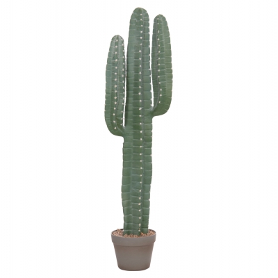 ΔΙΑΚΟΣΜΗΤΙΚΟ ΣΥΝΘΕΤΙΚΟ ΦΥΤΟ HM4742 ΚΑΚΤΟΣ ΜΕ ΓΛΑΣΤΡΑ 17,5x26x103Υεκ.