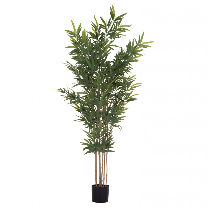 ΔΙΑΚΟΣΜΗΤΙΚΟ ΣΥΝΘΕΤΙΚΟ ΦΥΤΟ HM4736 BAMBOO ΣΕ ΓΛΑΣΤΡΑ 20x95x180Υεκ. ΔΙΑΚΟΣΜΗΤΙΚΟ ΣΥΝΘΕΤΙΚΟ ΦΥΤΟ HM4736 BAMBOO ΣΕ ΓΛΑΣΤΡΑ 20x95x180Υεκ.