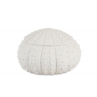 Andrea House - Κουτί Κοσμημάτων Sea Urchin D23cm Andrea House - Κουτί Κοσμημάτων Sea Urchin D23cm