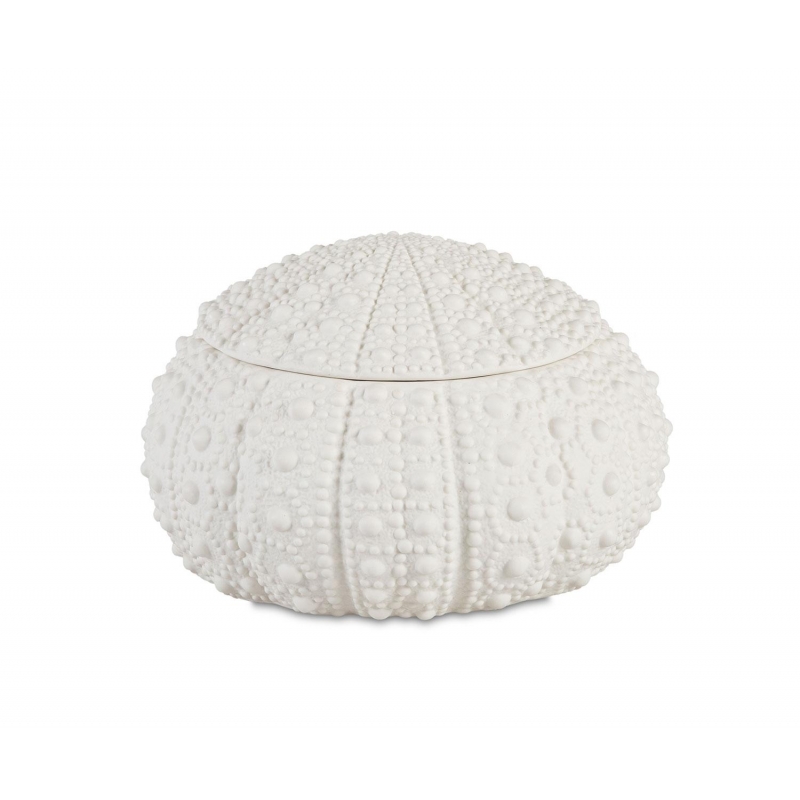 Andrea House - Κουτί Κοσμημάτων Sea Urchin D23cm Andrea House - Κουτί Κοσμημάτων Sea Urchin D23cm