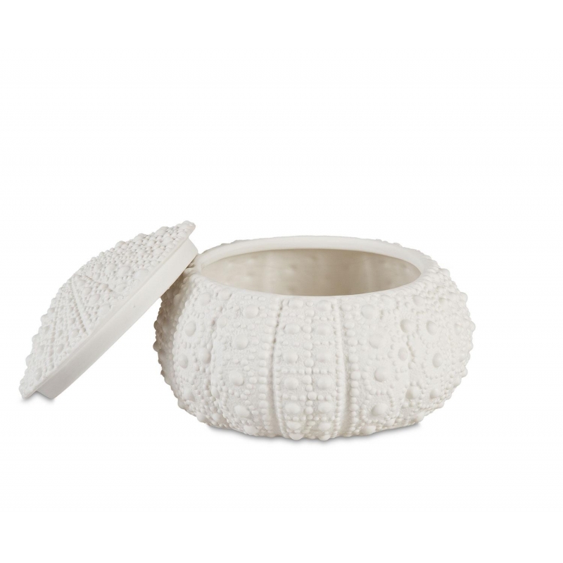 Andrea House - Κουτί Κοσμημάτων Sea Urchin D23cm Andrea House - Κουτί Κοσμημάτων Sea Urchin D23cm