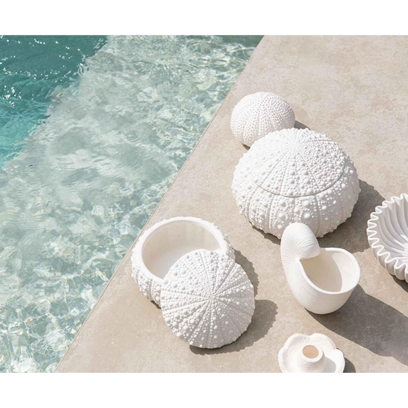 Andrea House - Κουτί Κοσμημάτων Sea Urchin D23cm Andrea House - Κουτί Κοσμημάτων Sea Urchin D23cm