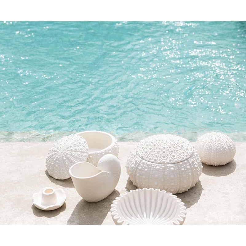 Andrea House - Κουτί Κοσμημάτων Sea Urchin D23cm Andrea House - Κουτί Κοσμημάτων Sea Urchin D23cm