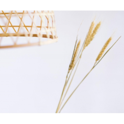 Andrea House - Αποξηραμένα Λουλούδια Wheat Natural 60cm Andrea House - Αποξηραμένα Λουλούδια Wheat Natural 60cm