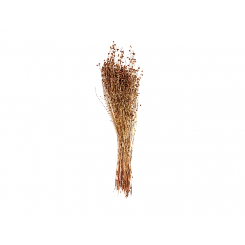 Andrea House - Αποξηραμένα Λουλούδια Lino Natural 70cm Andrea House - Αποξηραμένα Λουλούδια Lino Natural 70cm