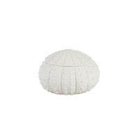 Andrea House - Κουτί Κοσμημάτων Sea Urchin D19cm Andrea House - Κουτί Κοσμημάτων Sea Urchin D19cm