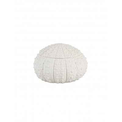 Andrea House - Κουτί Κοσμημάτων Sea Urchin D19cm