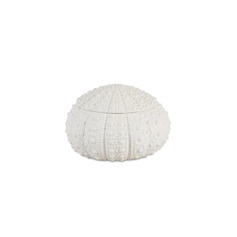 Andrea House - Κουτί Κοσμημάτων Sea Urchin D19cm Andrea House - Κουτί Κοσμημάτων Sea Urchin D19cm