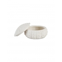 Andrea House - Κουτί Κοσμημάτων Sea Urchin D19cm Andrea House - Κουτί Κοσμημάτων Sea Urchin D19cm