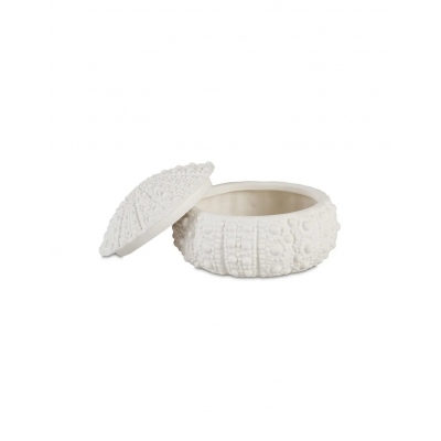 Andrea House - Κουτί Κοσμημάτων Sea Urchin D19cm
