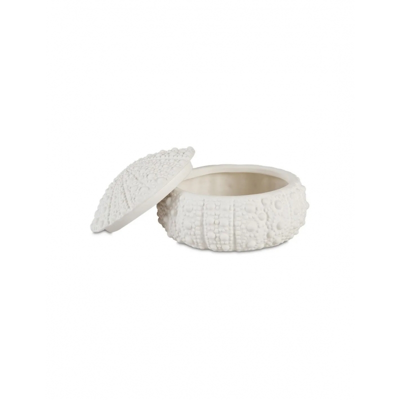 Andrea House - Κουτί Κοσμημάτων Sea Urchin D19cm Andrea House - Κουτί Κοσμημάτων Sea Urchin D19cm