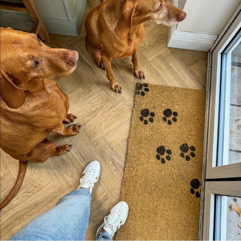 Artsy Mats - Μεγάλο Χαλάκι Εισόδου Paw Prints 120x40cm