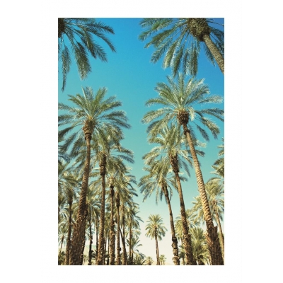 Brookpace Lascelles - Art Print Beverly Hills Palms Με Ξύλινη Κορνίζα Brookpace Lascelles - Art Print Beverly Hills Palms Με Ξύλινη Κορνίζα