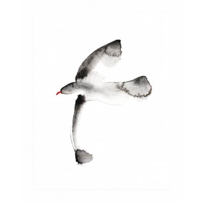 Brookpace Lascelles - Art Print Watercolour Seagull Με Ξύλινη Κορνίζα Brookpace Lascelles - Art Print Watercolour Seagull Με Ξύλινη Κορνίζα