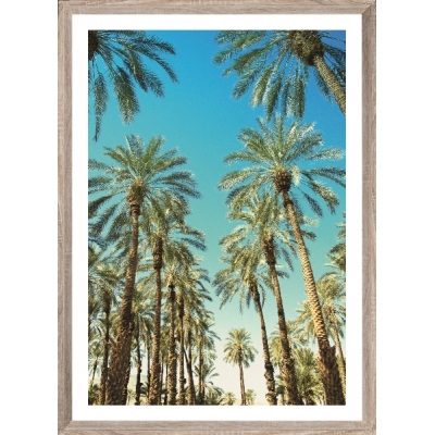 Brookpace Lascelles - Art Print Beverly Hills Palms Με Ξύλινη Κορνίζα Brookpace Lascelles - Art Print Beverly Hills Palms Με Ξύλινη Κορνίζα