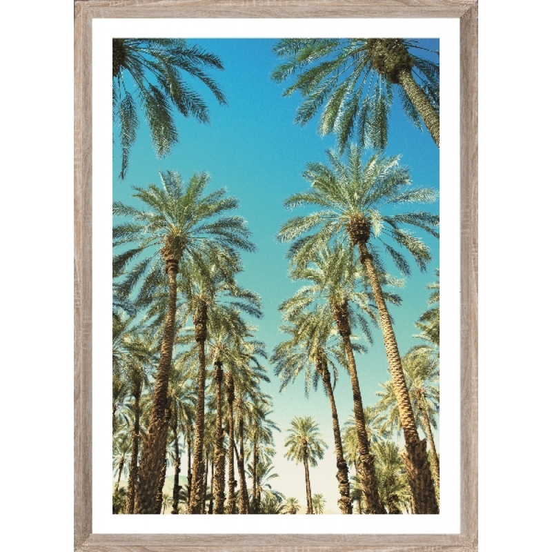 Brookpace Lascelles - Art Print Beverly Hills Palms Με Ξύλινη Κορνίζα Brookpace Lascelles - Art Print Beverly Hills Palms Με Ξύλινη Κορνίζα