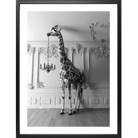 Brookpace Lascelles - Art Print Giraffe In The Room Με Κορνίζα Black Box Brookpace Lascelles - Art Print Giraffe In The Room Με Κορνίζα Black Box