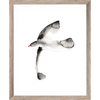 Brookpace Lascelles - Art Print Watercolour Seagull Με Ξύλινη Κορνίζα Brookpace Lascelles - Art Print Watercolour Seagull Με Ξύλινη Κορνίζα