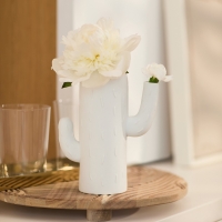 Raeder - Cactus vase. Πορσελάνινο Βάζο Columnar Cactus Raeder - Cactus vase. Πορσελάνινο Βάζο Columnar Cactus