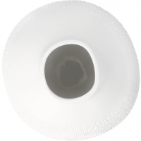 Raeder - Picture stories. Πορσελάνινο Βάζο Grasses in the wind