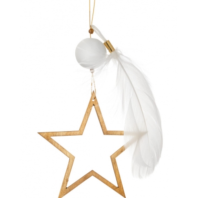 Raeder - Χριστουγεννιάτικο Στολίδι Χρυσό Αστέρι Με Φτερό Raeder - Χριστουγεννιάτικο Στολίδι Χρυσό Αστέρι Με Φτερό