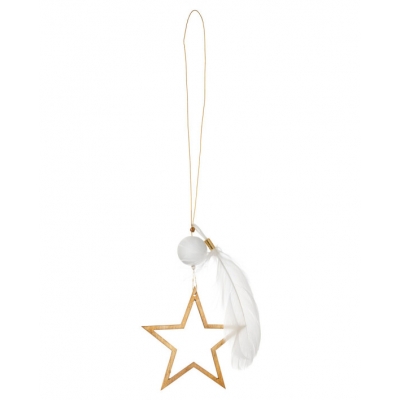Raeder - Χριστουγεννιάτικο Στολίδι Χρυσό Αστέρι Με Φτερό